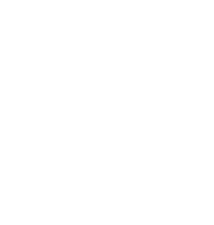 STS Group